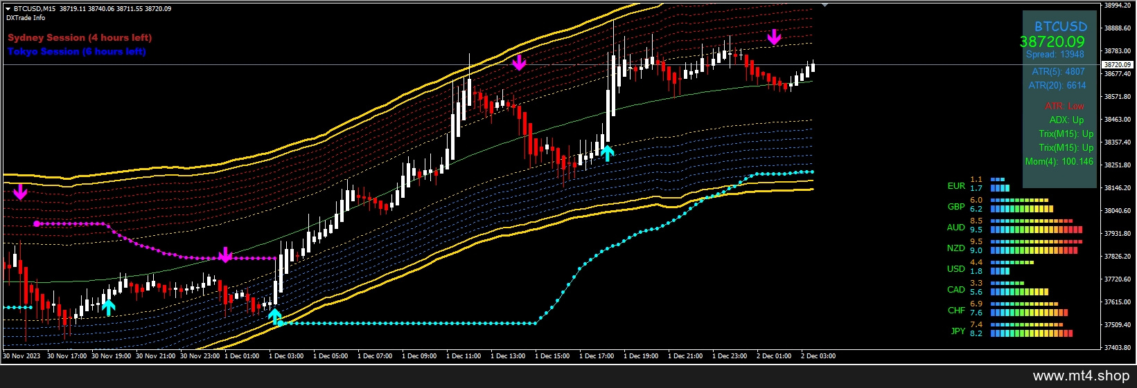 FOREX MIDL TRADING SYSTEM 源码