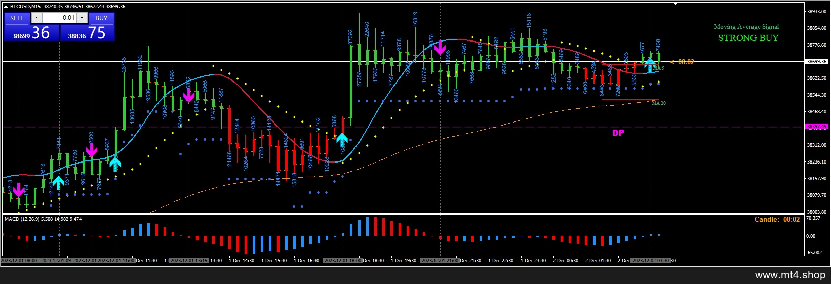Forex Trading System New1 源码