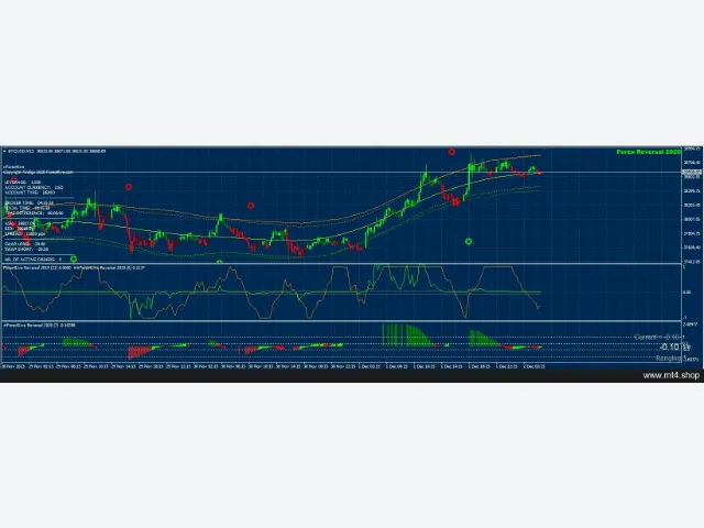 Forex4Live Reversal 2020 图片 2