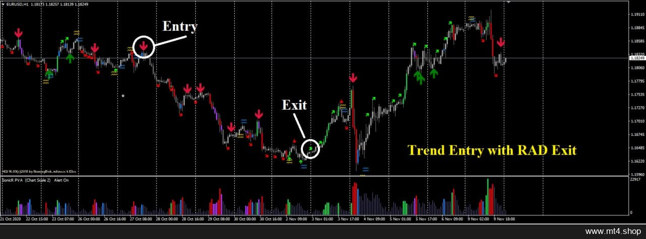 Assar Phoenix Elite 2022