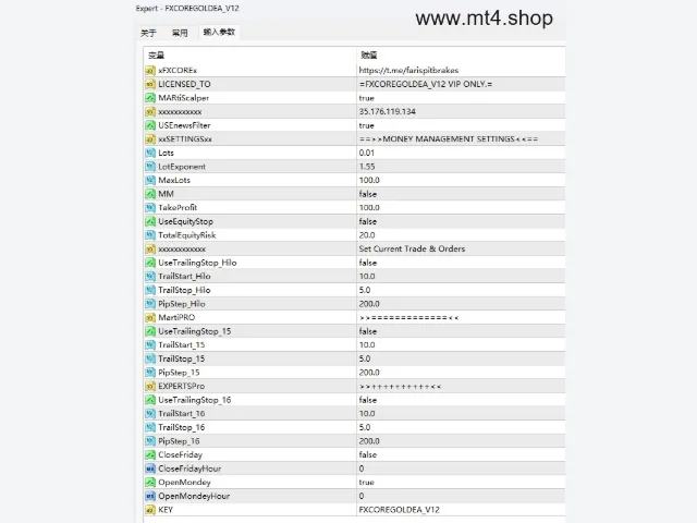 FXCOREGOLDEA_V12 图片 4