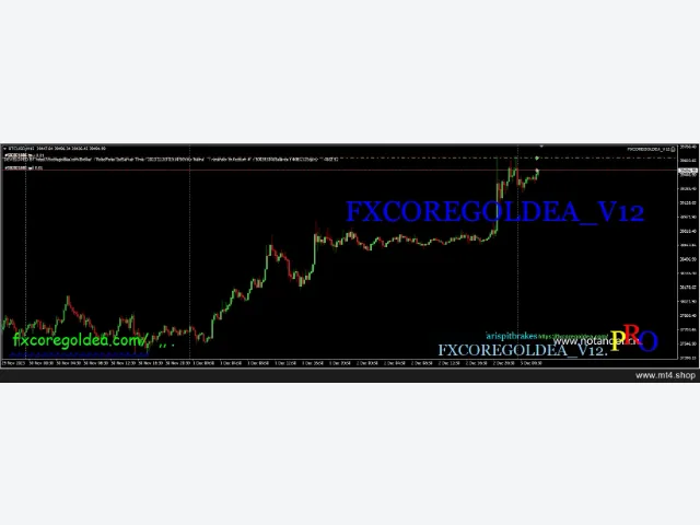 FXCOREGOLDEA_V12 图片 5