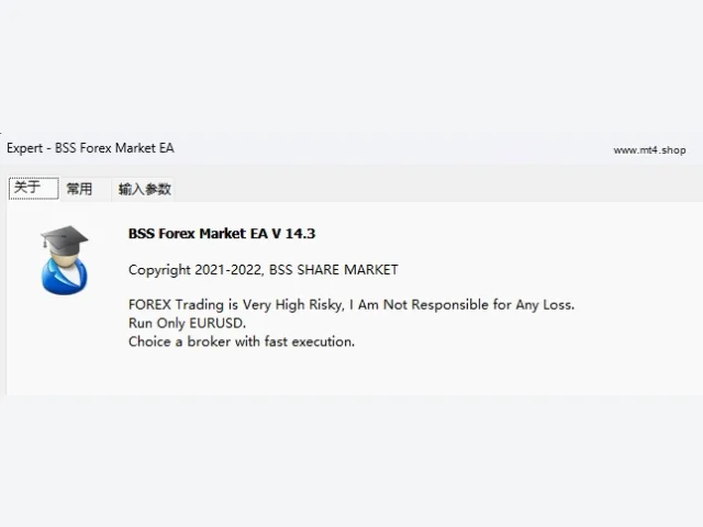 BSS Forex Market EA 图片 3