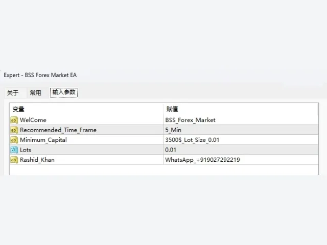 BSS Forex Market EA 图片 4