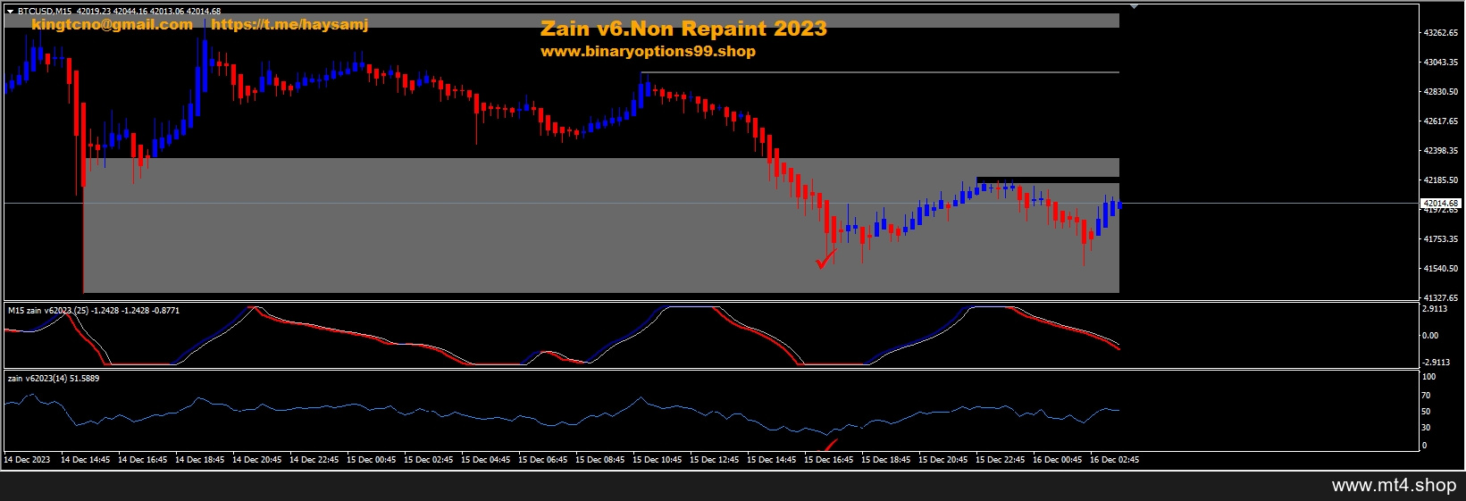 ZAIN v6 2023