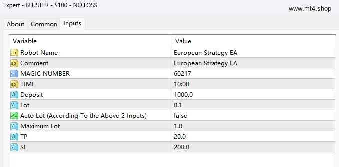 BLUSTER – $100 – NO LOSS