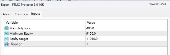FTMO Protector 3.0 10K