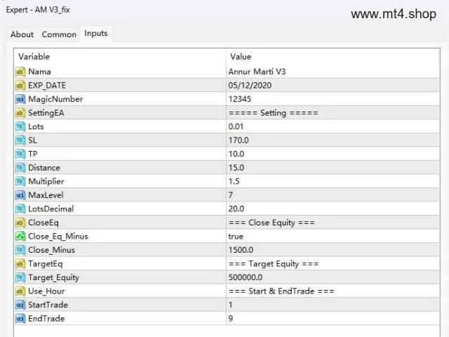Annur Marti V3 图片 2