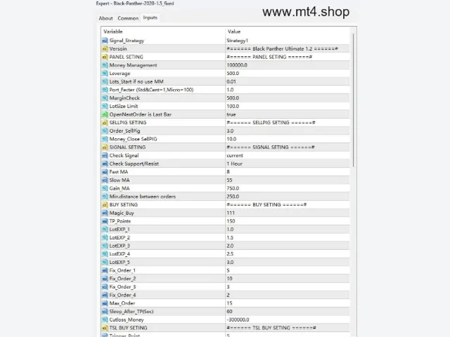 Black-Panther-2020-1.5_fixed 图片 4