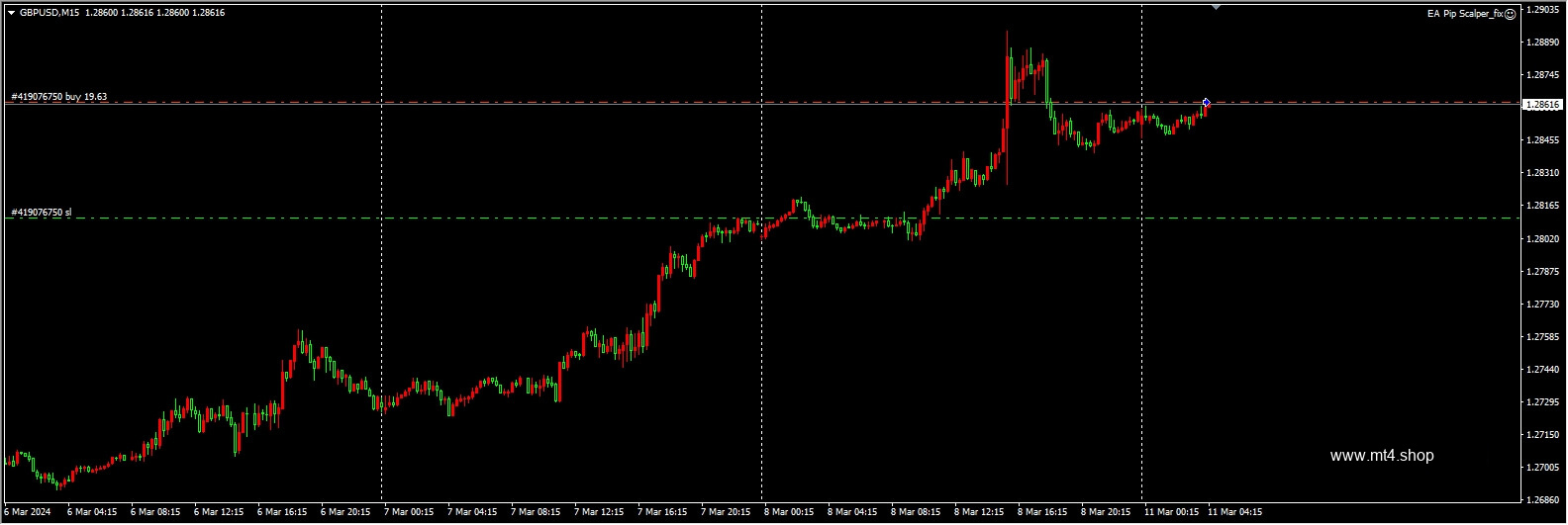 EA Pip Scalper_fix