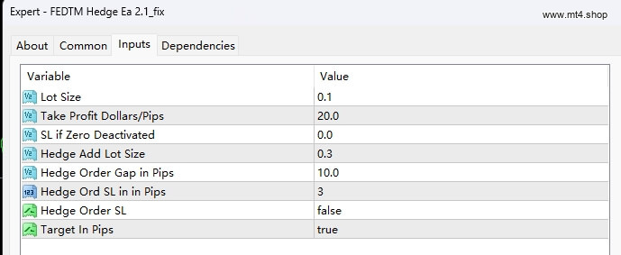 FEDTM Hedge Ea 2.1_fix