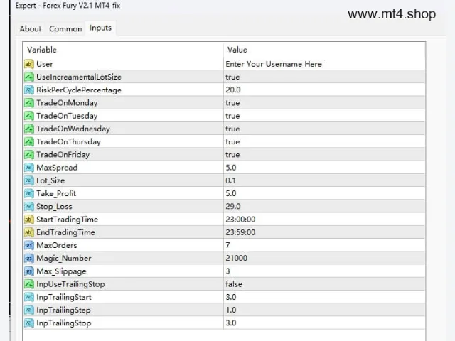 Forex Fury V2.1 MT4_fix 图片 3