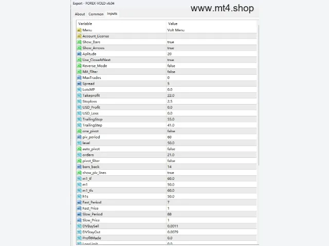 FOREX-VOLD v6.04 图片 2