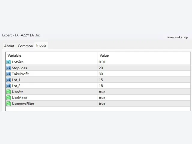 FX FAZZY EA _fix 图片 3