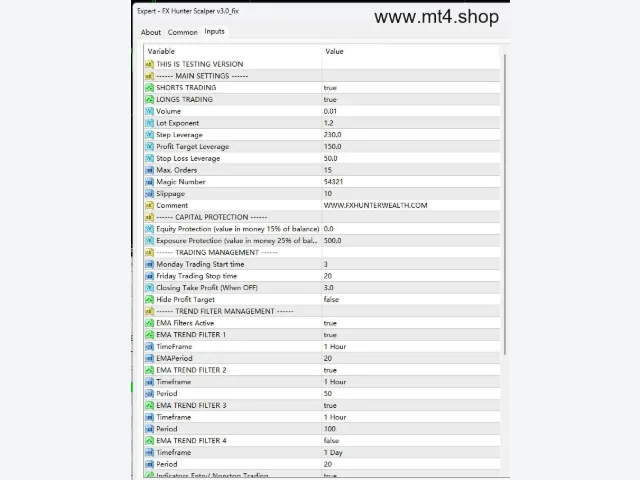 FX Hunter Scalper v3.0_fix 图片 2