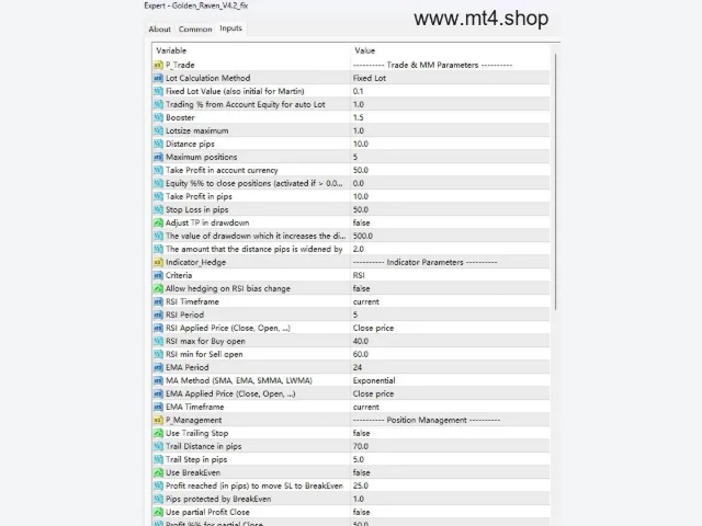 Golden_Raven_V4.2_fix 图片 3