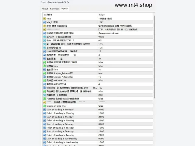 Martin-Avtomat-FX_fix 图片 3