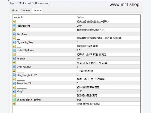 Master Grid P2_Unonymous_Fix 图片 3