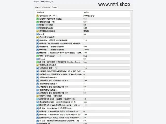 XXX777 Avtomat FX EA 图片 3