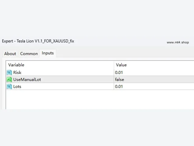 Tesla Lion V1.1_FOR_XAUUSD_fix 图片 3
