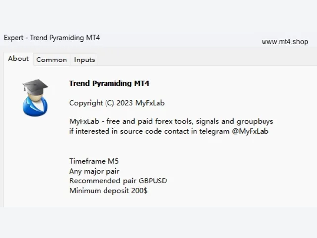 Trend Pyramiding MT4 图片 3