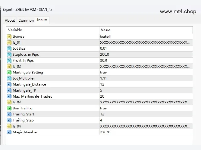 ZHEIL EA V2.1- STAN_fix 图片 3