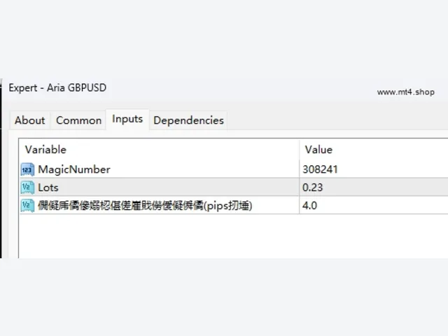 ARIA EA MT4 no DLL 图片 2