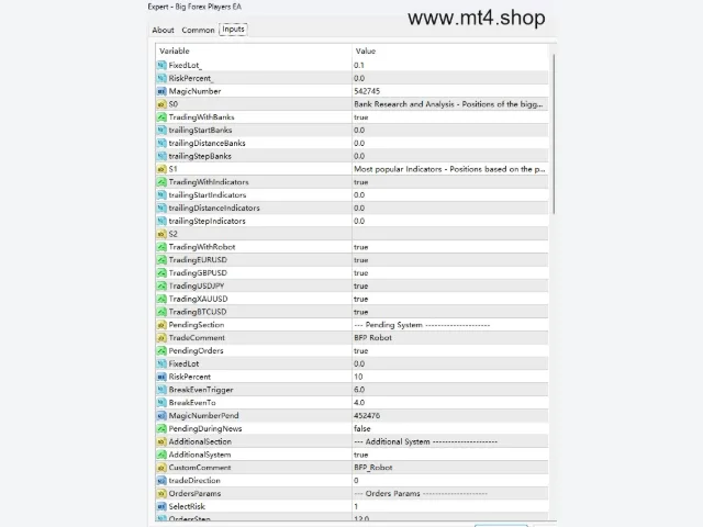 Big Forex Players EA 图片 3