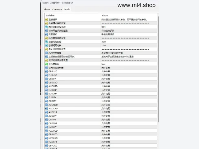 28货币1111 G Trader EA 源码 图片 2