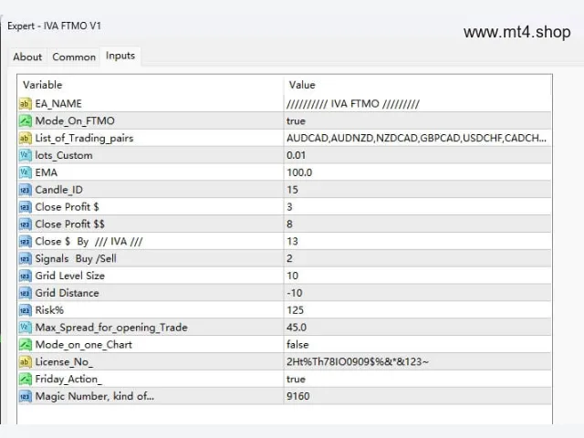 IVA FTMO V1 图片 3