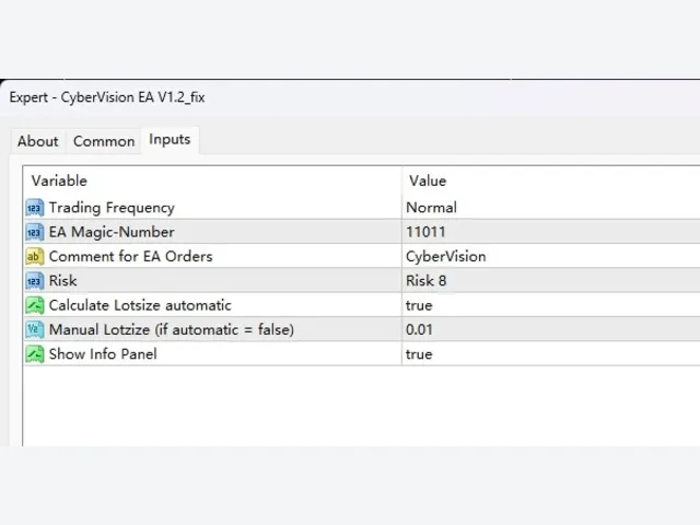 CyberVision EA V1.2_fix 图片 2
