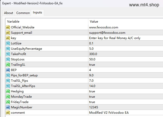 Modified-Version2-FxVoodoo-EA_fix