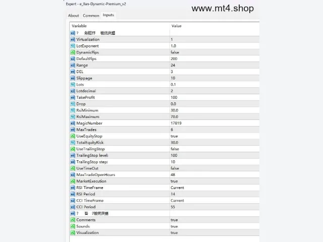e_Ilan-Dynamic-Premium_v2 图片 2