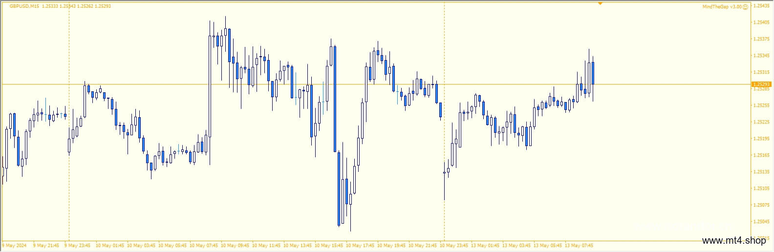 MindTheGap v3.00 源码