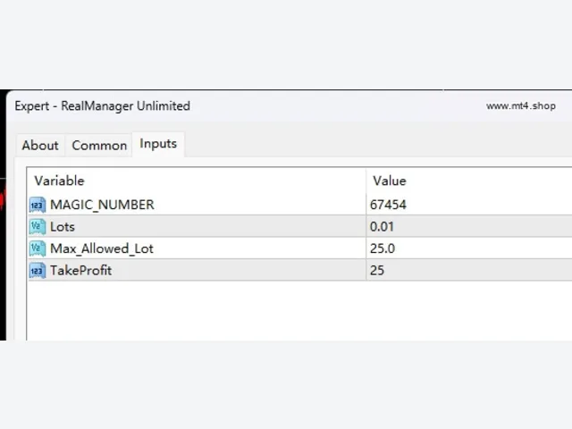 RealManager Unlimited 图片 2