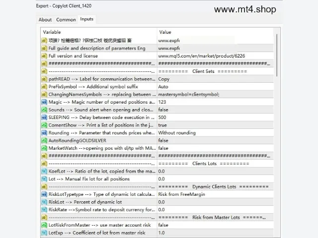 Copylot Client_1420 图片 2