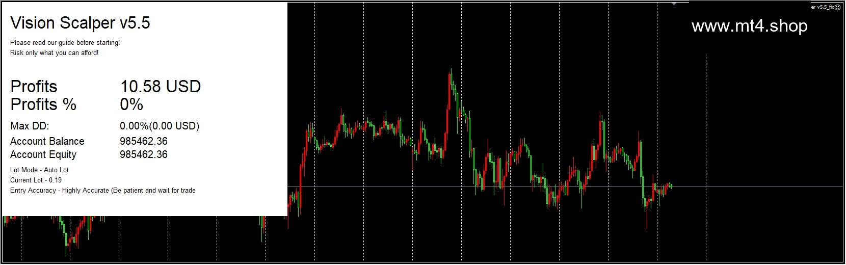 Vision Scalper v5.5_fix