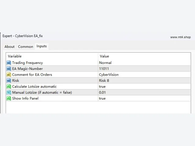 CyberVision EA_fix 图片 2