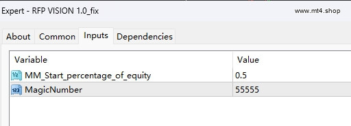 RFP VISION 1.0_fix