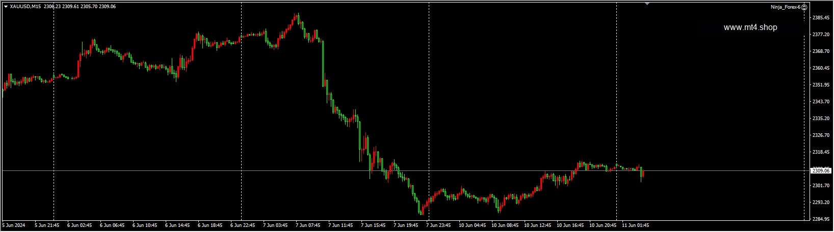 Ninja_Forex-6