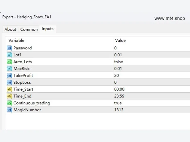 Hedging_Forex_EA1 图片 2