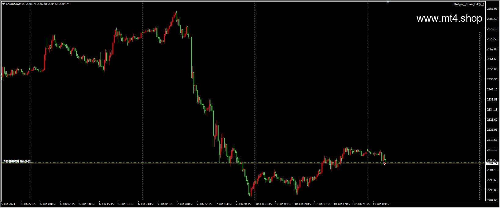 Hedging_Forex_EA1