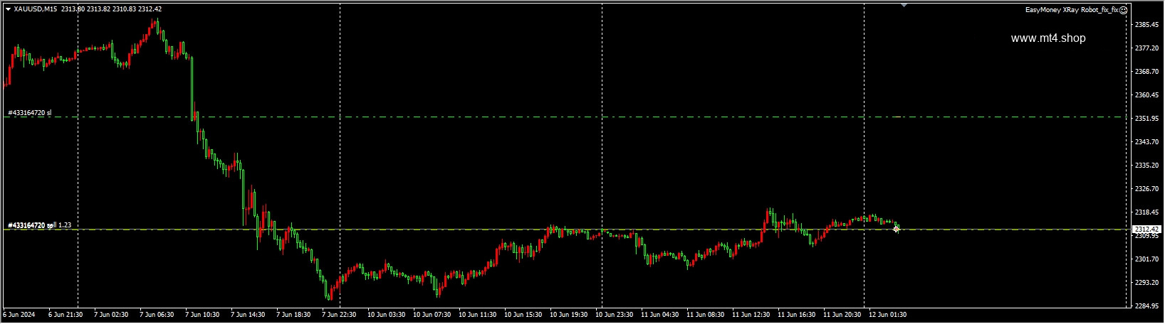 EasyMoney XRay Robot_fix_fix
