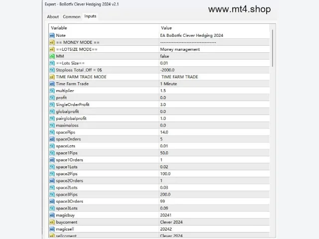 BoBotfx Clever Hedging 2024 v2.1 图片 2