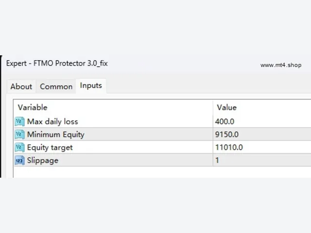 FTMO Protector 3.0_fix 图片 2
