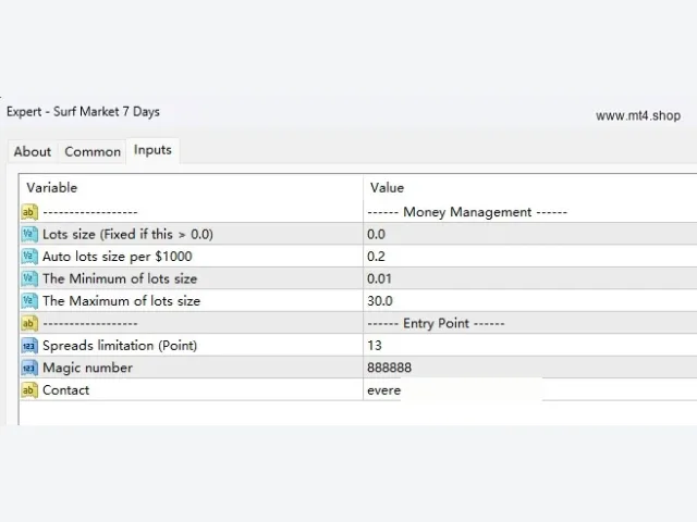 Surf Market 7 Days 图片 2