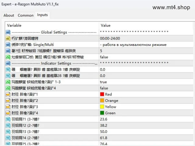 e-Razgon MultAuto V1.1_fix 图片 2