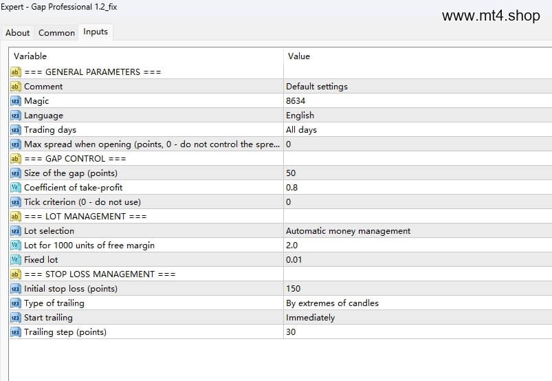Gap Professional 1.2_fix