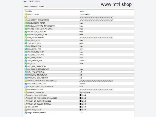 ZAFIRO PRO_fix 图片 2