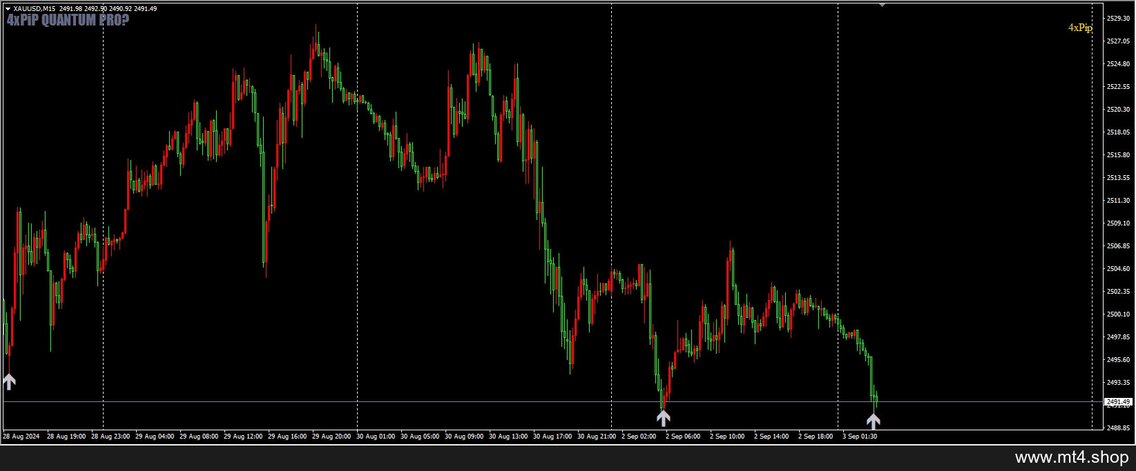 4xpip-Quantum-Pro